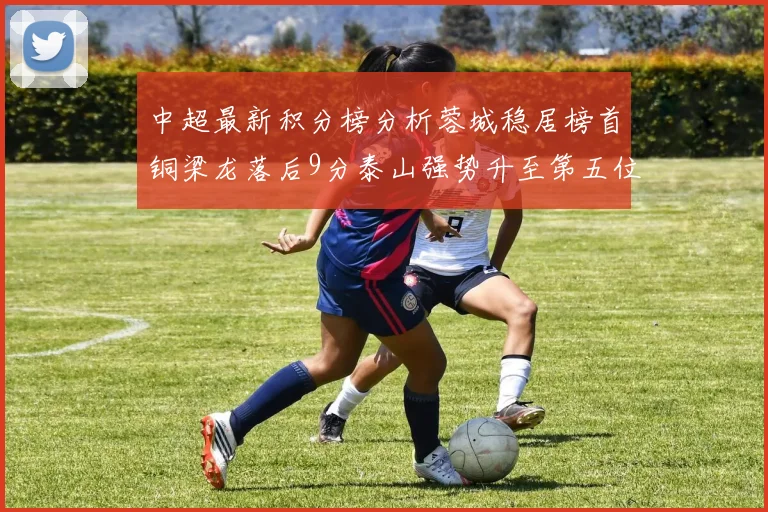 中超最新积分榜分析蓉城稳居榜首铜梁龙落后9分泰山强势升至第五位津门虎积分清零