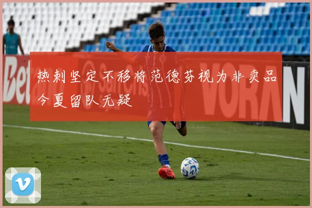 热刺坚定不移将范德芬视为非卖品今夏留队无疑
