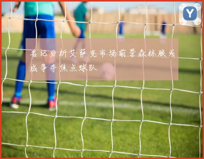 名记分析艾萨克市场前景森林狼或成争夺焦点球队